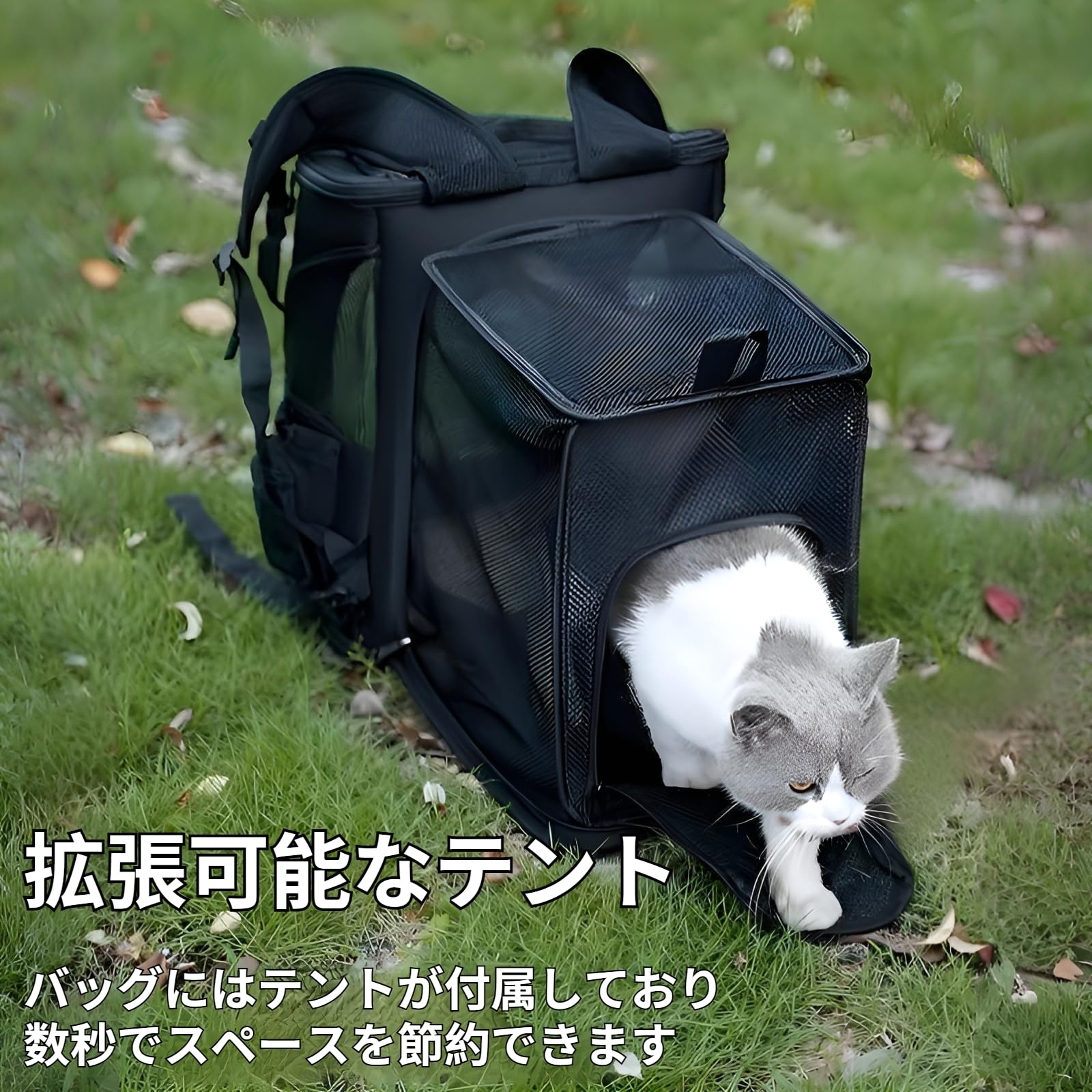 Amazon.co.jp: [mocoly]ペット リュック 中型犬対応【拡張+通気窓